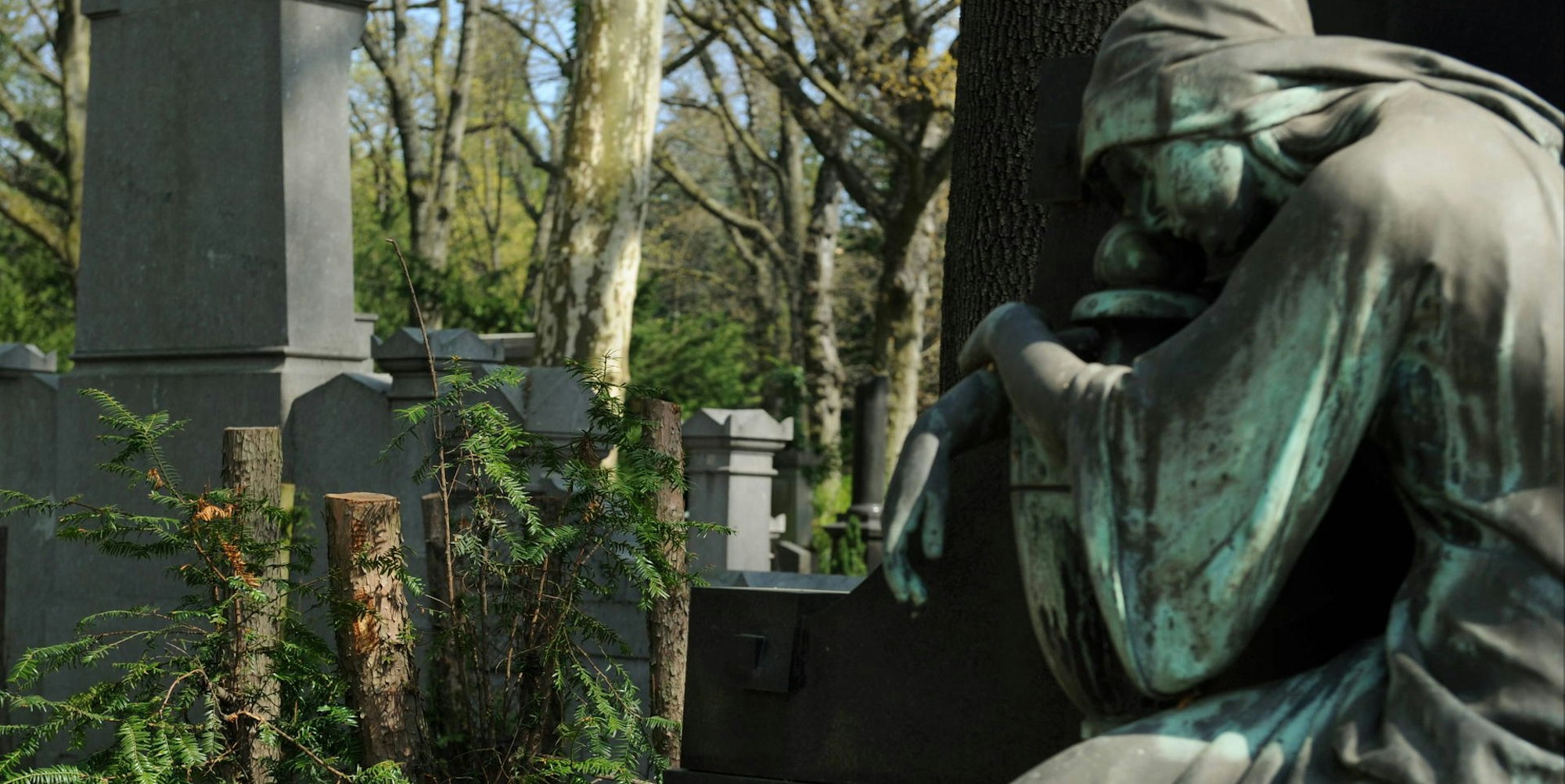 100419Melaten-Baeume044