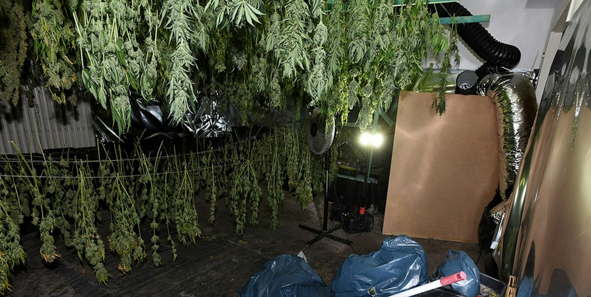 OTS_Plantage