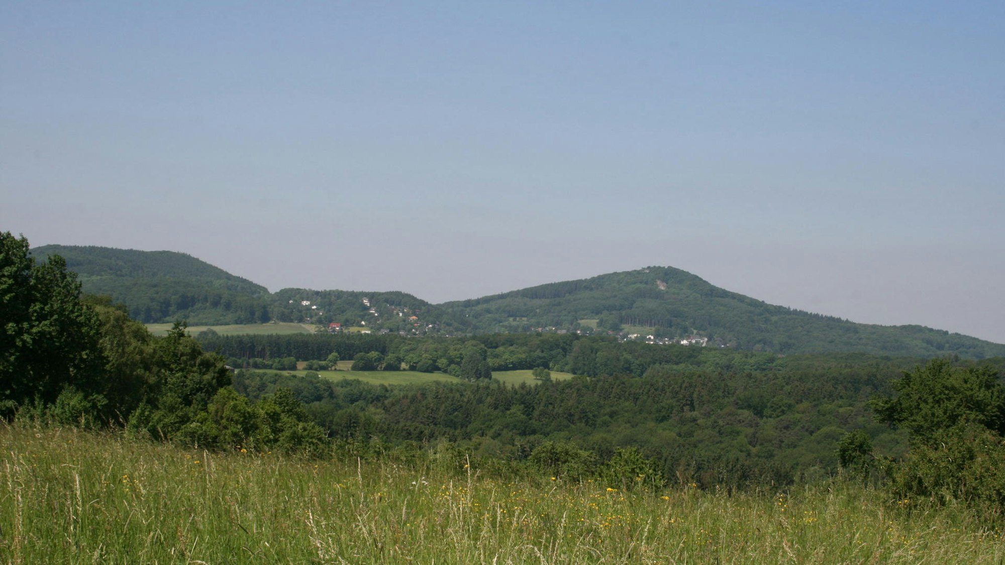 Auf dem Bild ist eine Wiese und Berge zu sehen.