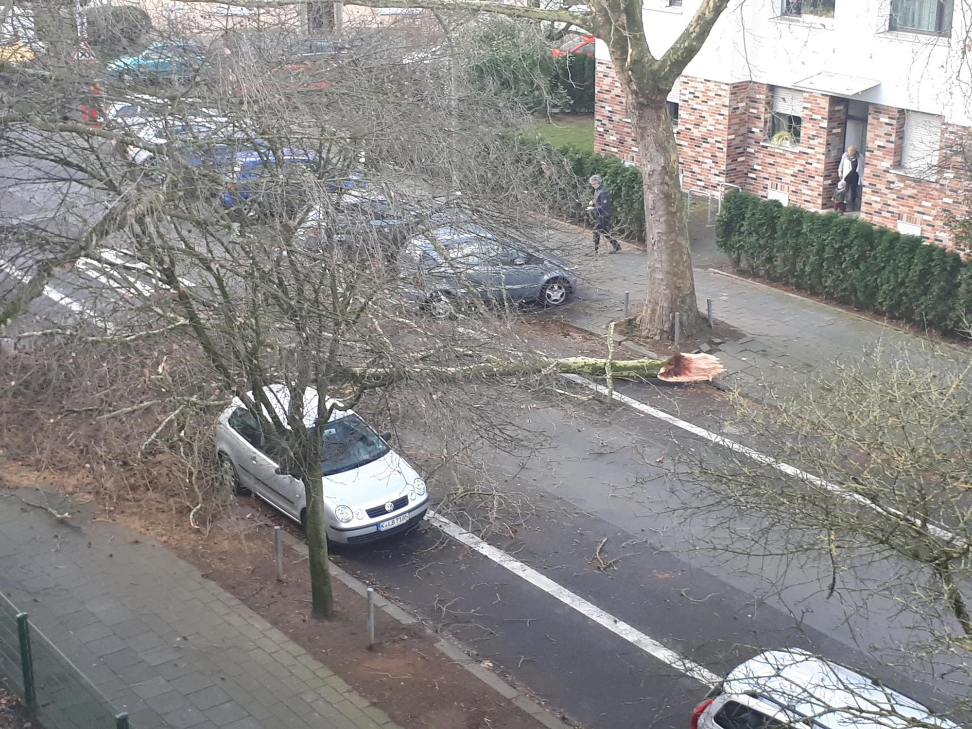 Neuer Inhalt (1)