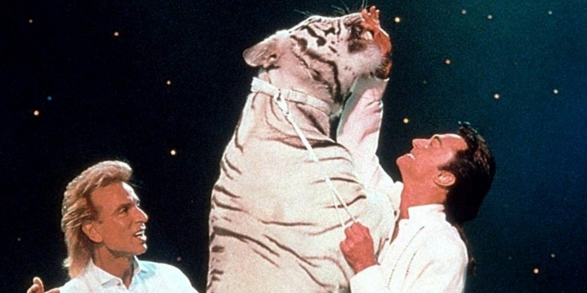 Siegfried Roy Tieger neu