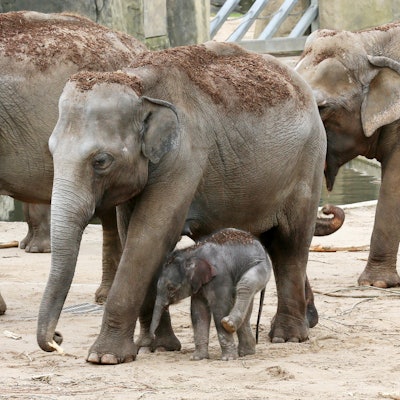 MDS-KSTA-2017-03-24-71-114170361