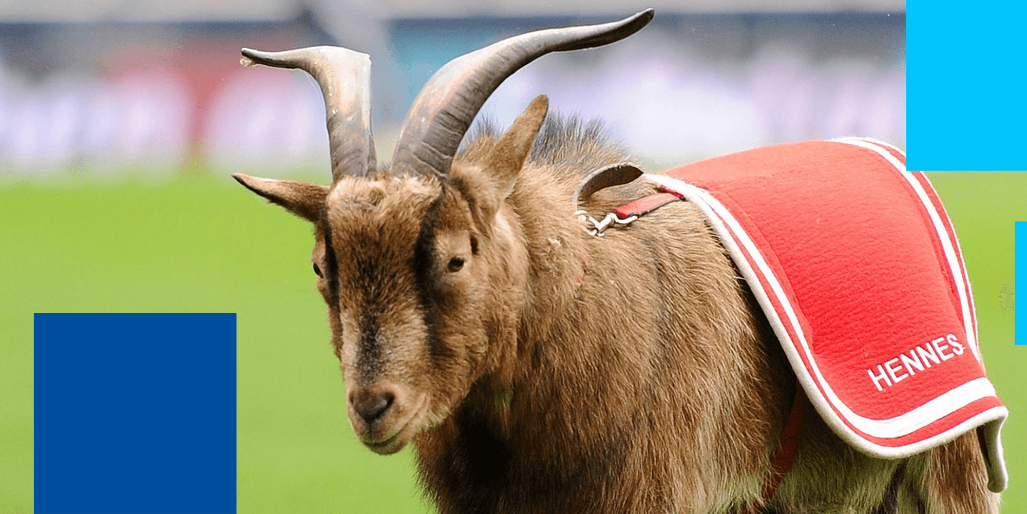 SIZ-Header-Hennes