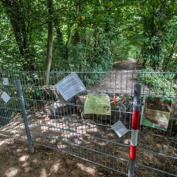 leverkusen-dhuenndeich-sperre--ALF_3907 (1)