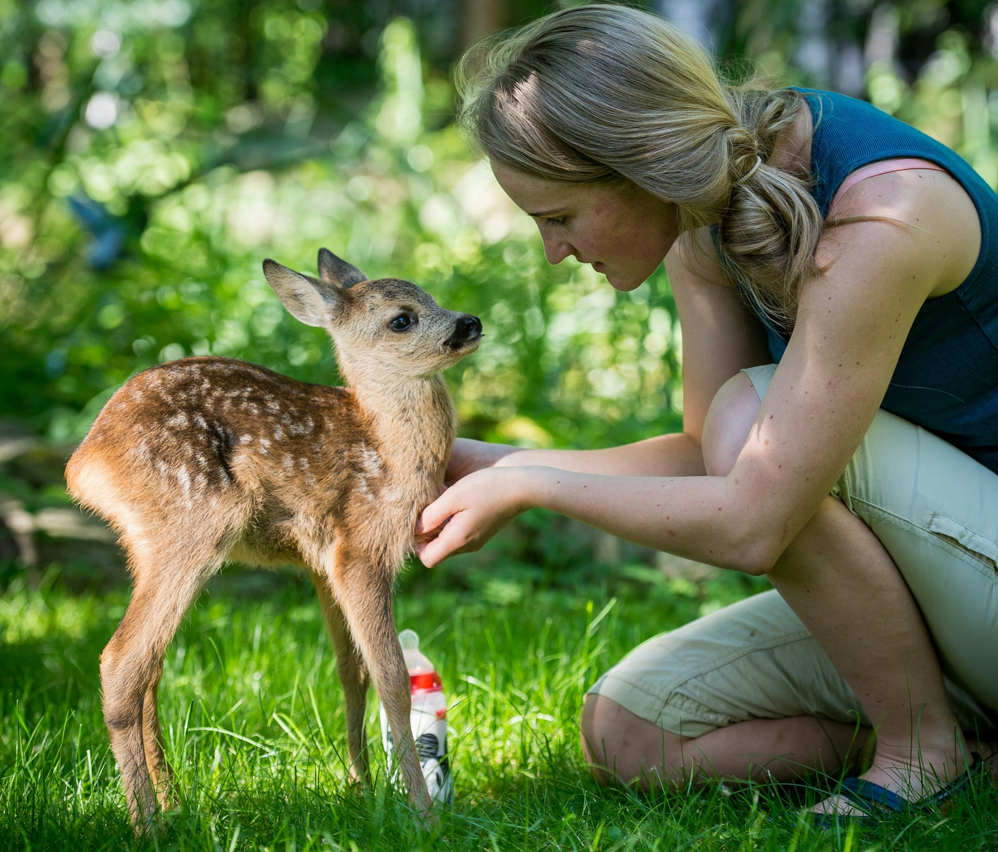 Wildtiere