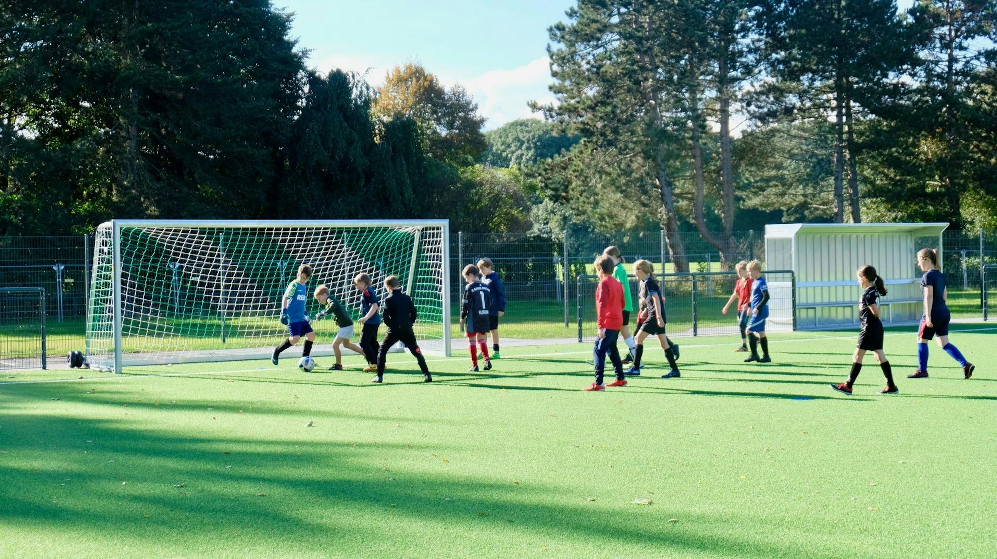 se-Vorwaerts-spoho33