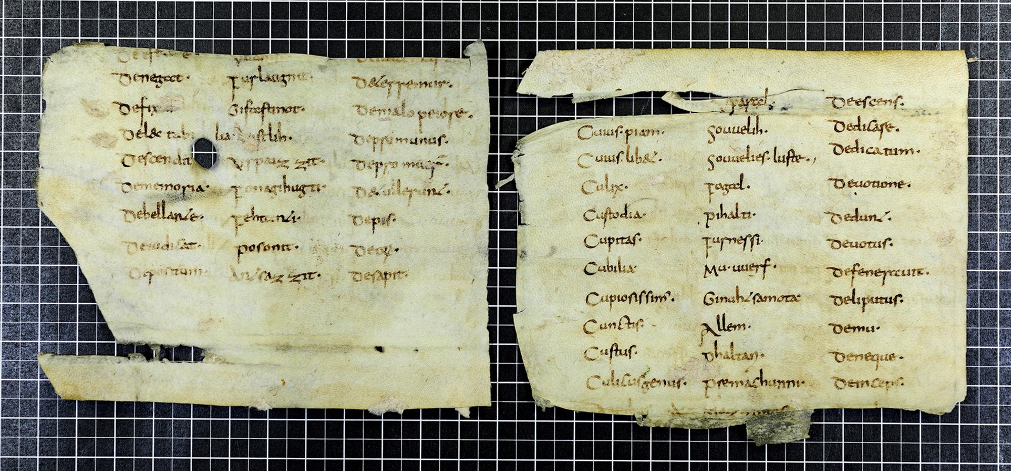 Schriftstück dpa