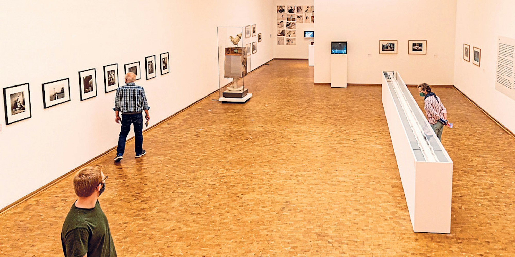 Museumludwig