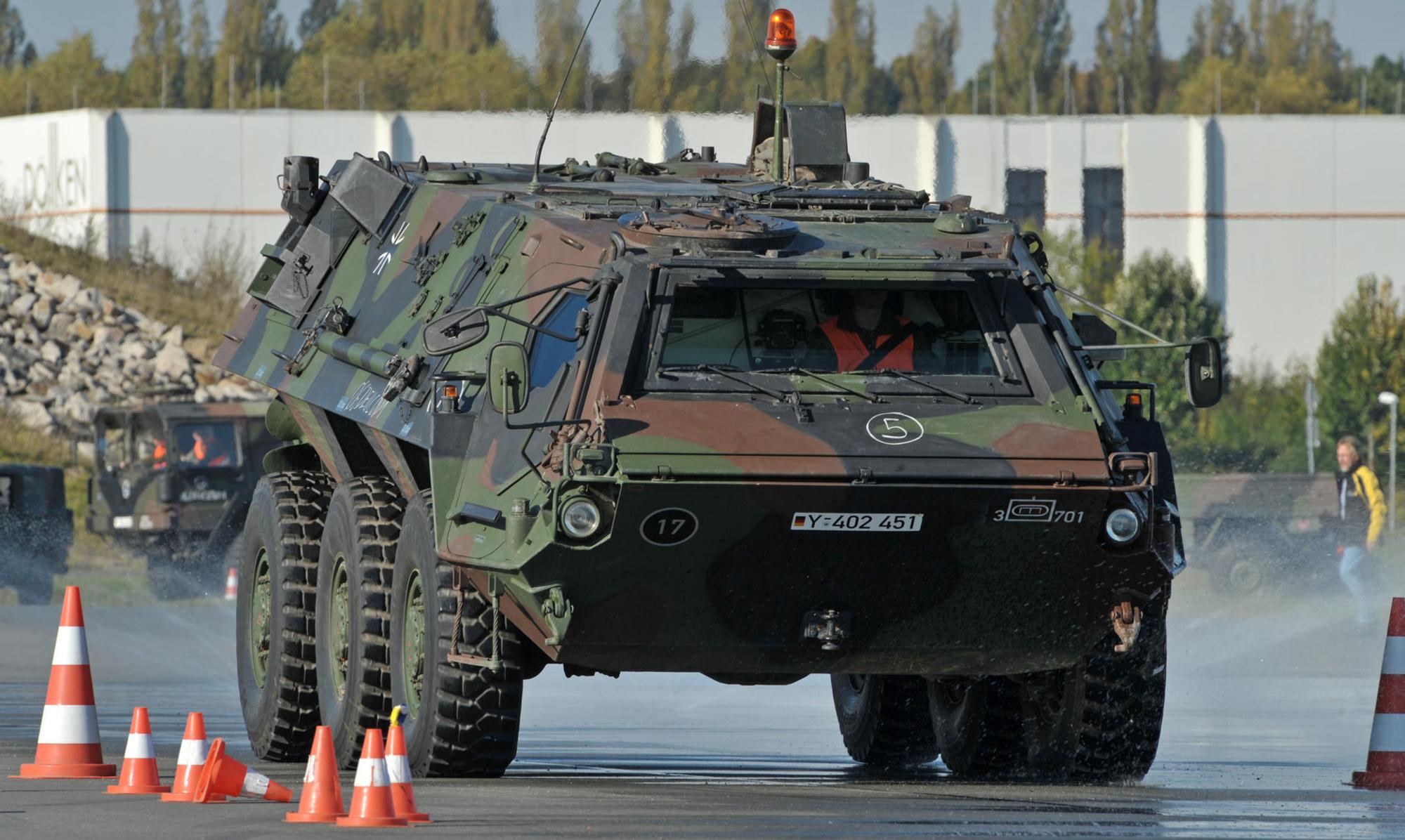 Panzer Fuchs dpa