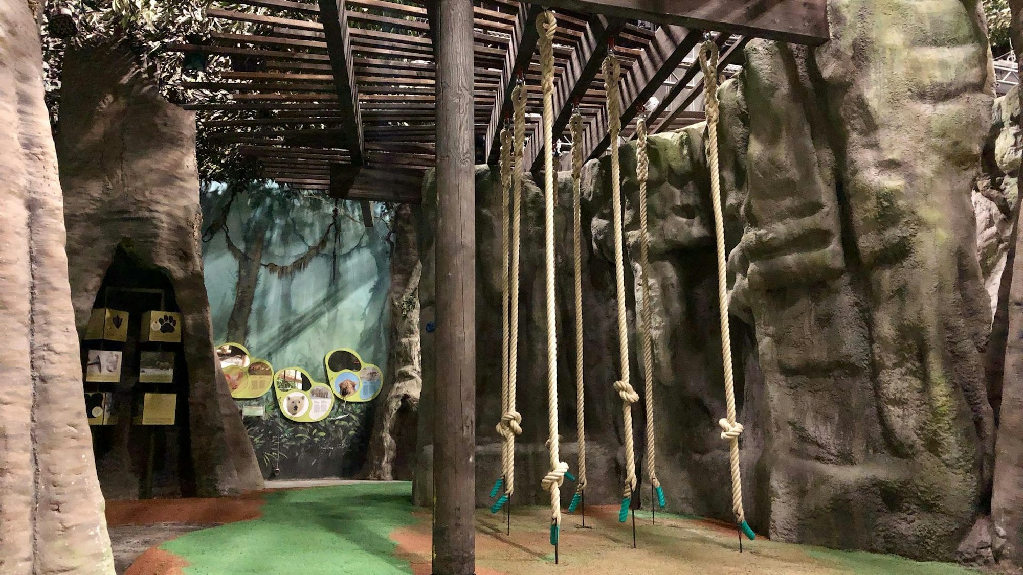 Lianen hängen in einem Klettergarten