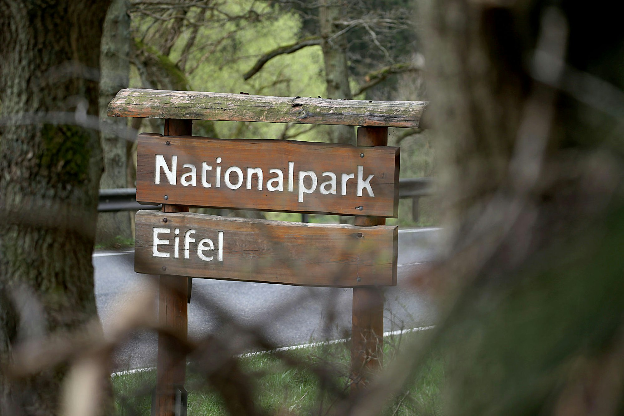 Nationalpark Eifel Symbol dpa