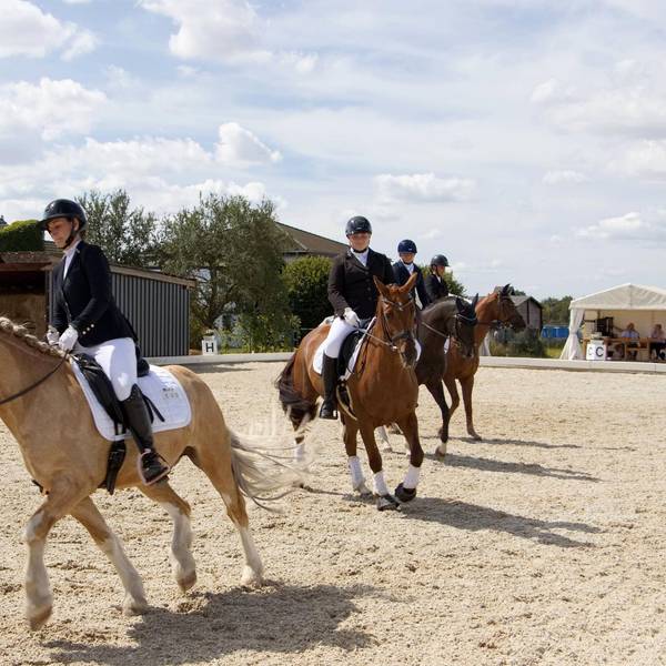 Dressurchampionat