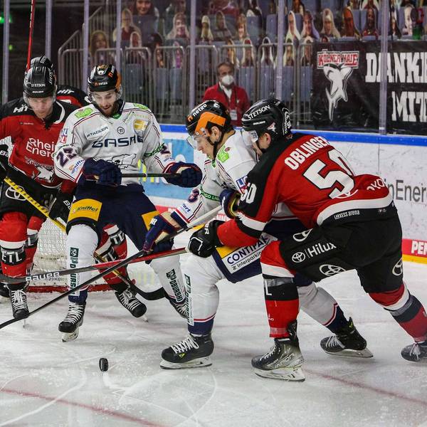 Haie vs Eisbären