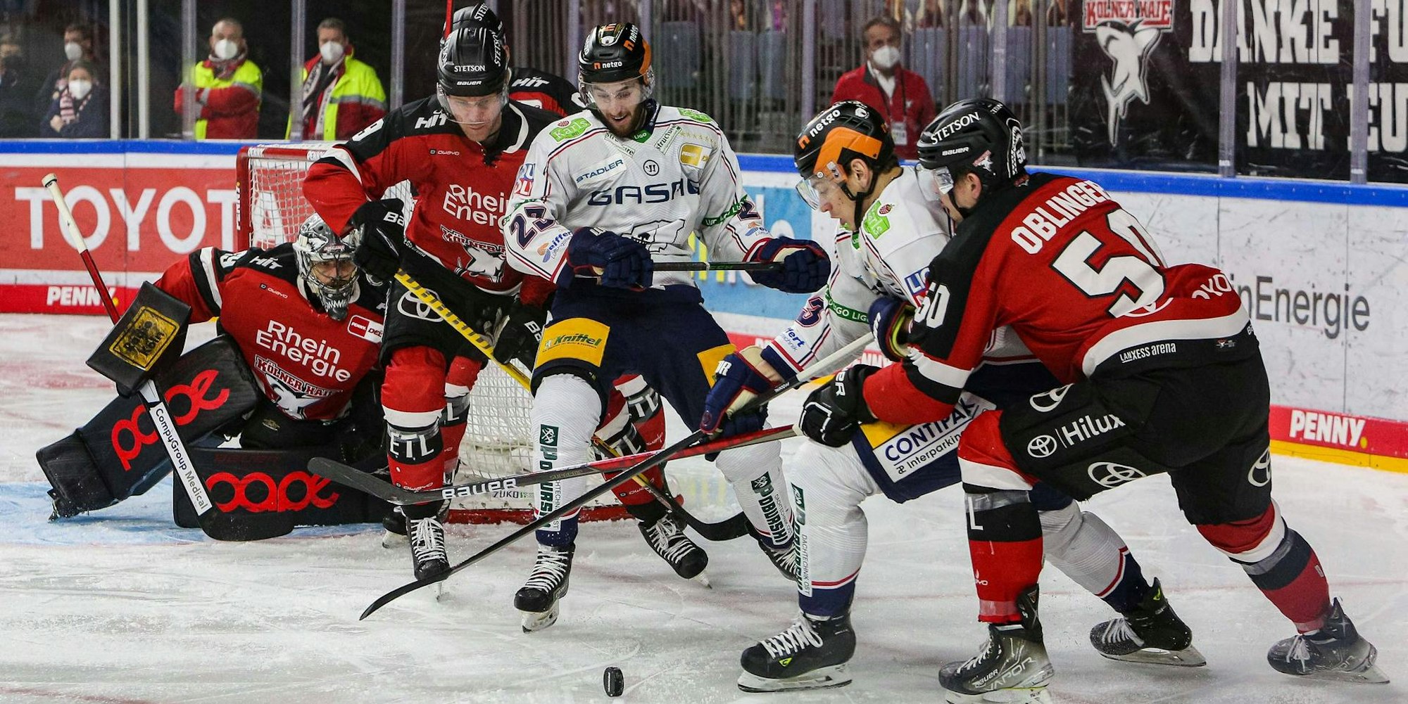 Haie vs Eisbären