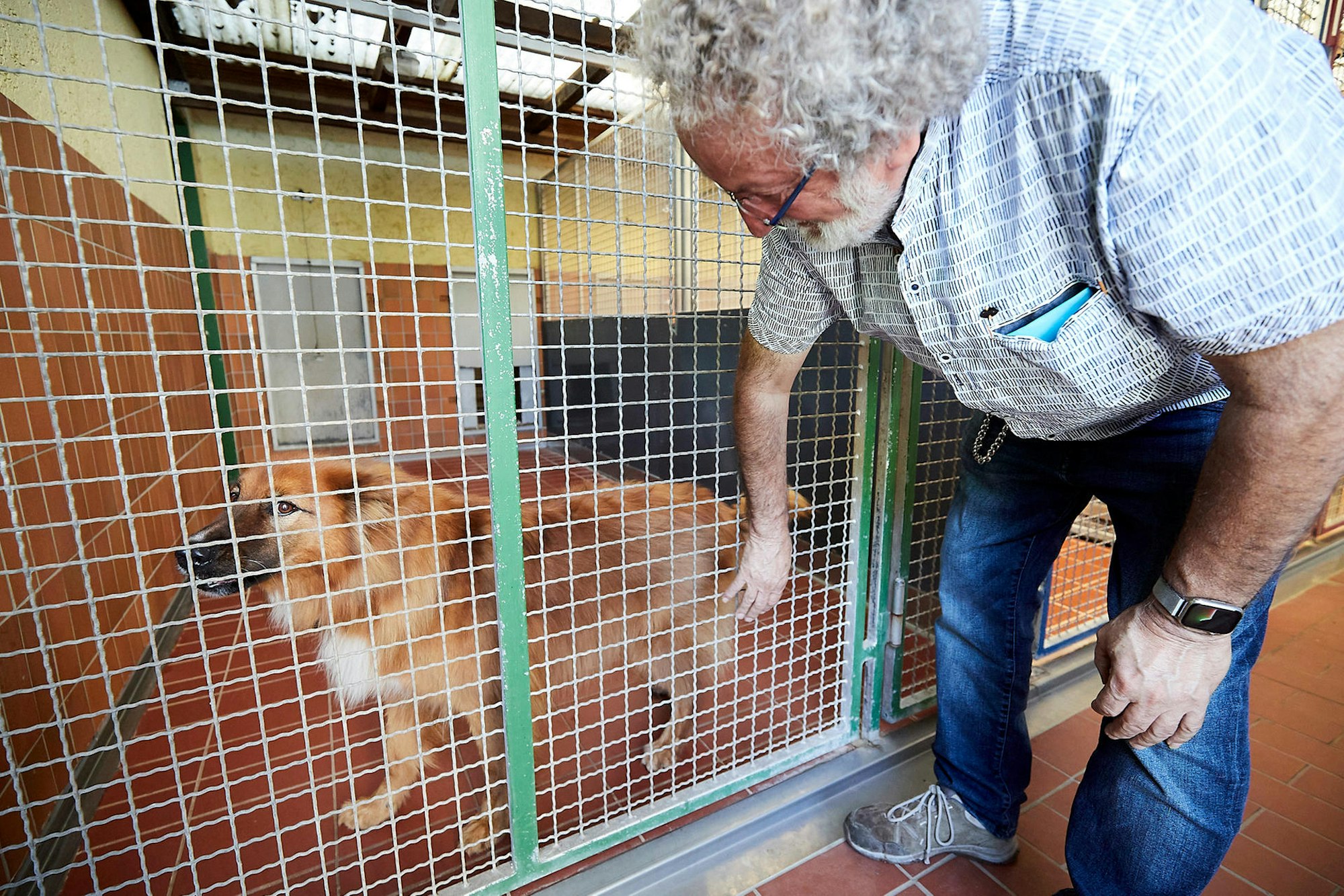 Mechernich Hundehaus_002