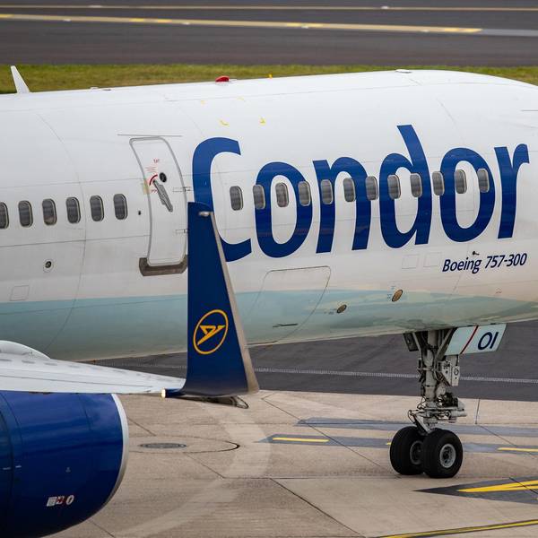 Condor 021019