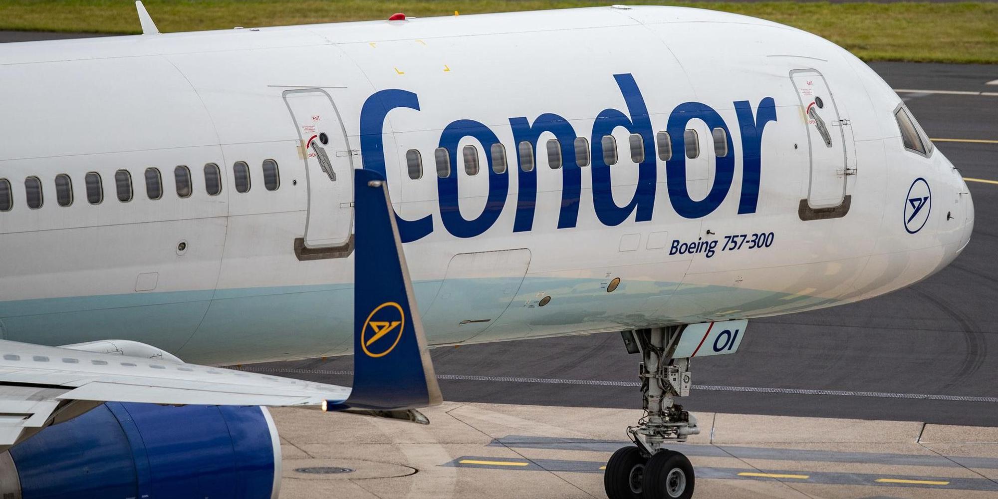 Condor 021019