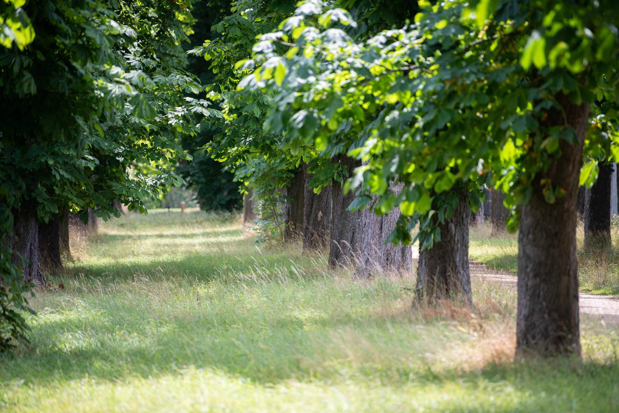 kastinien_wachendorf-2