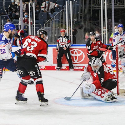 Kölner Haie gegen Mannheim
