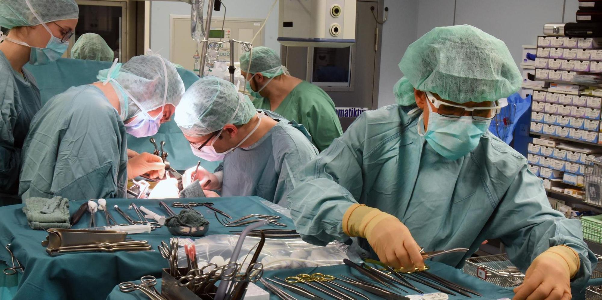 Organspende2