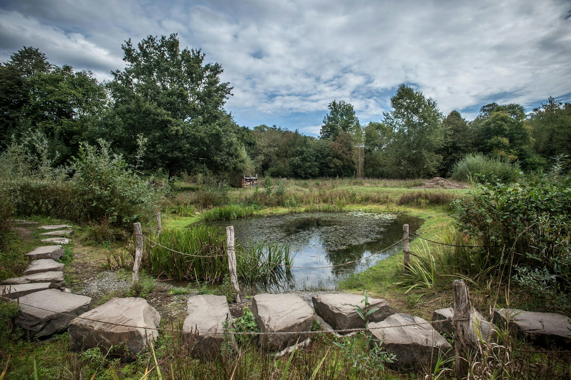 naturgut-ophoven-leverkusen_ALF_0139