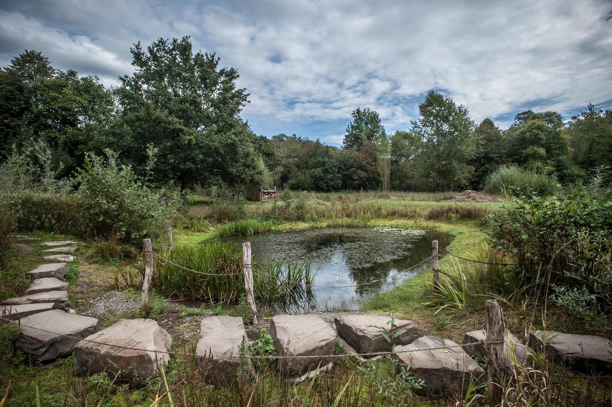 naturgut-ophoven-leverkusen_ALF_0139