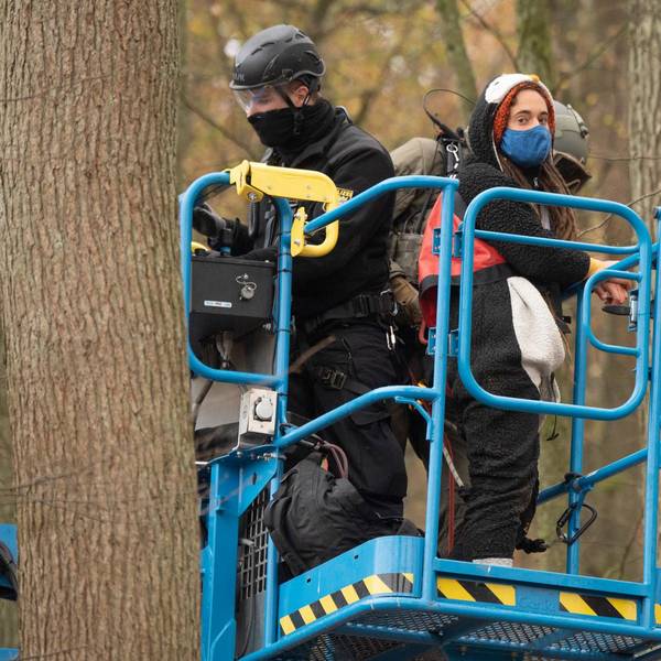 Rackete Dannenröder Forst