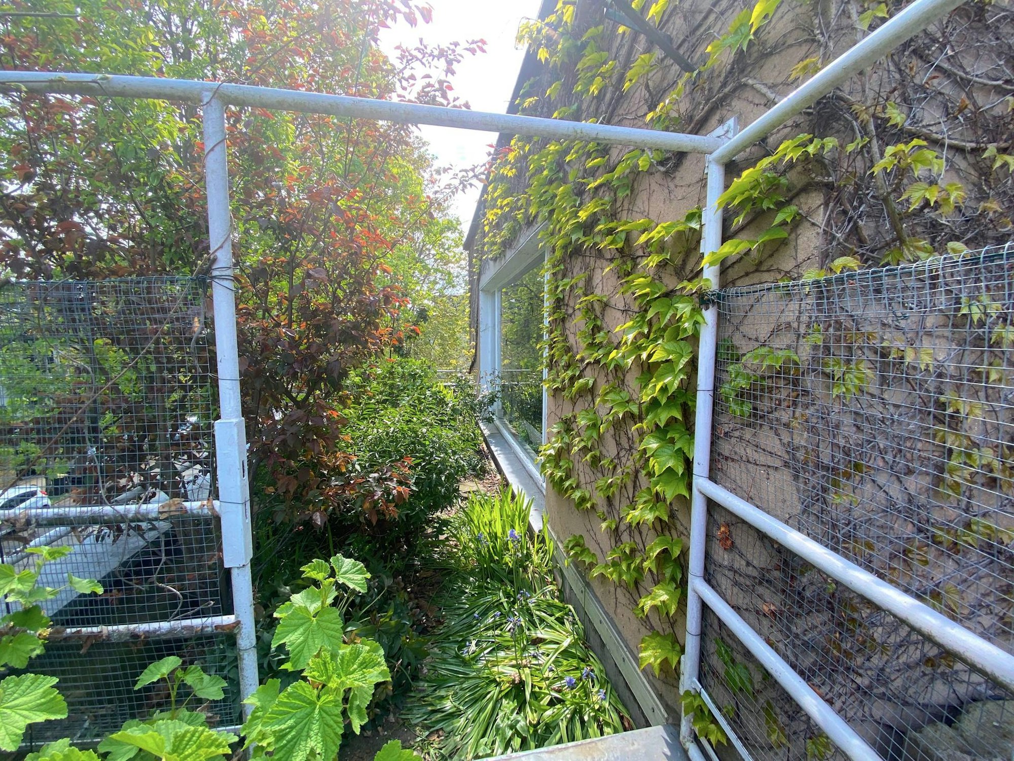 RK_Bauhaus_Dachgarten (1)