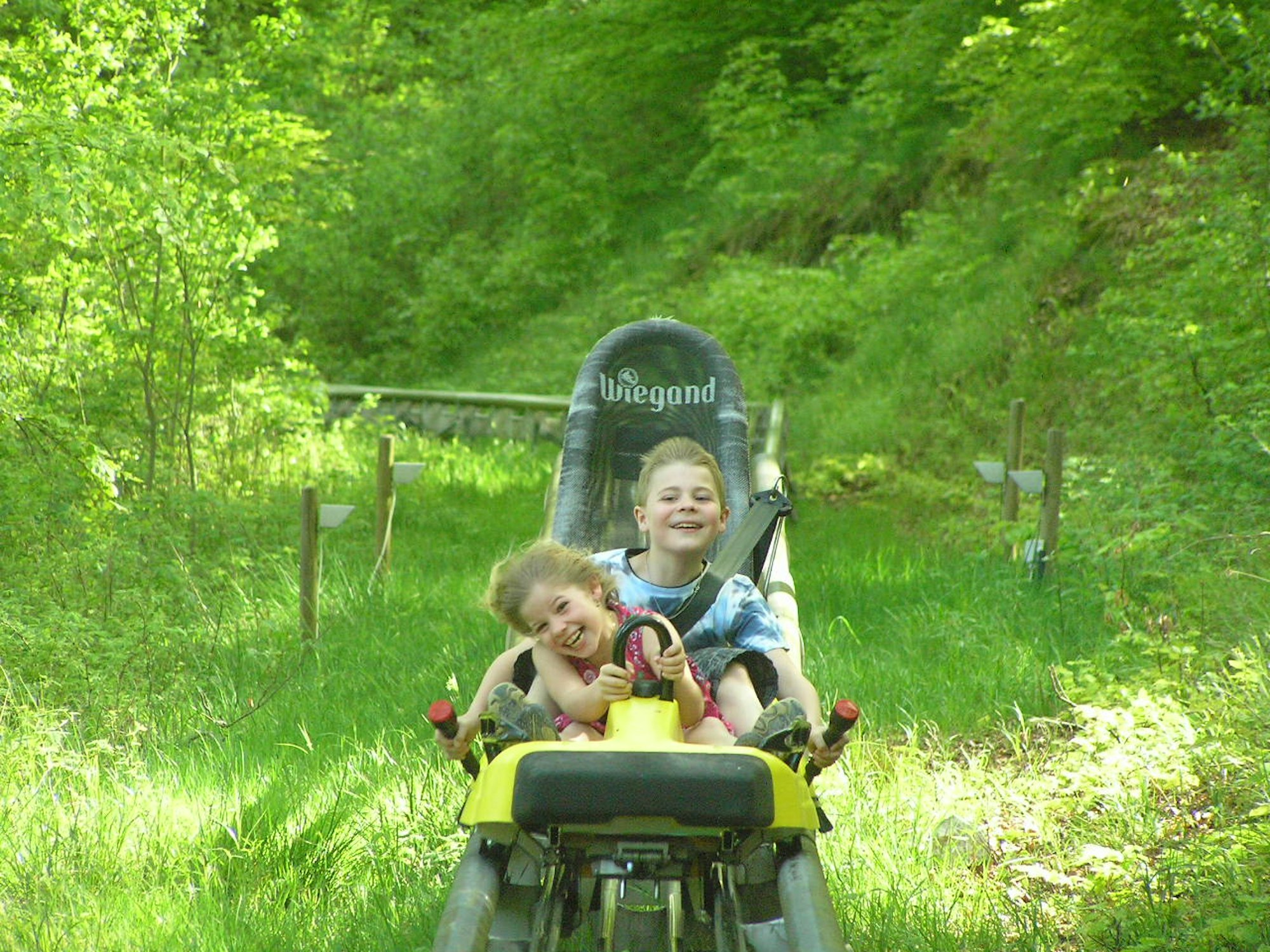 sommerrodelbahn steinfordt