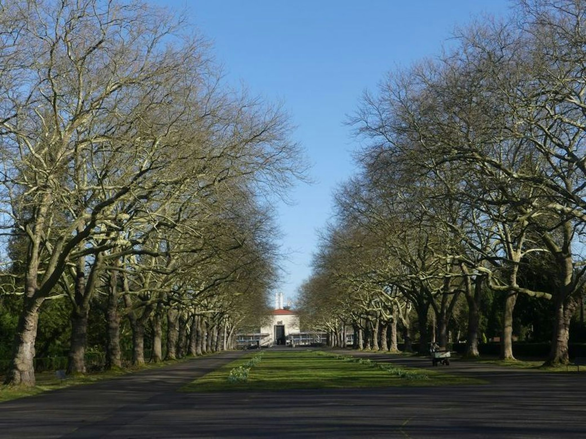 Trauer1