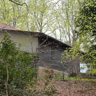 Schwarzbau_Kirschbaum_19082016