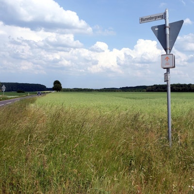 Kreuzfeld
