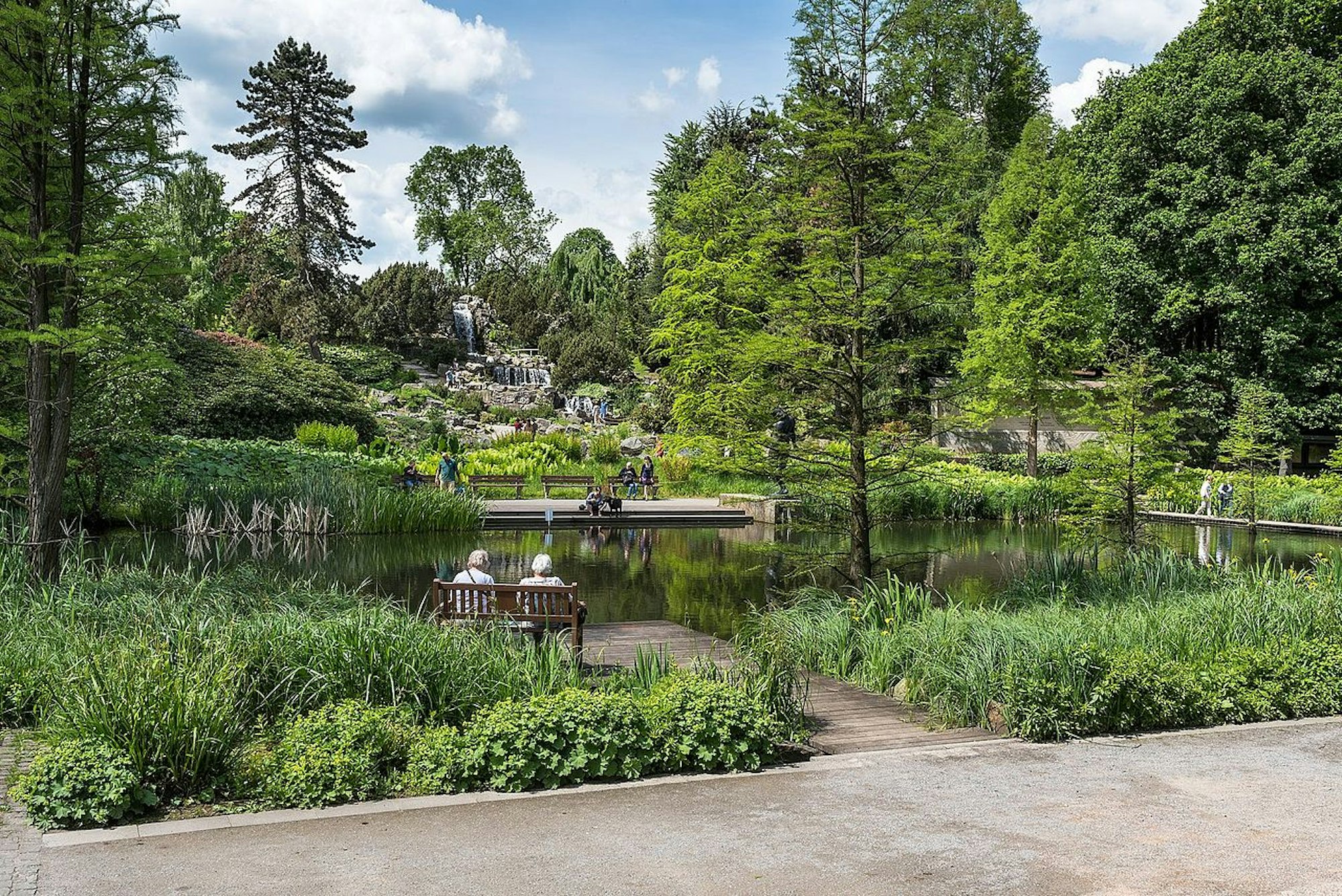 Grugapark-Waldsee-mit-Wasserfall-Alpinum-Tuxyso3.0