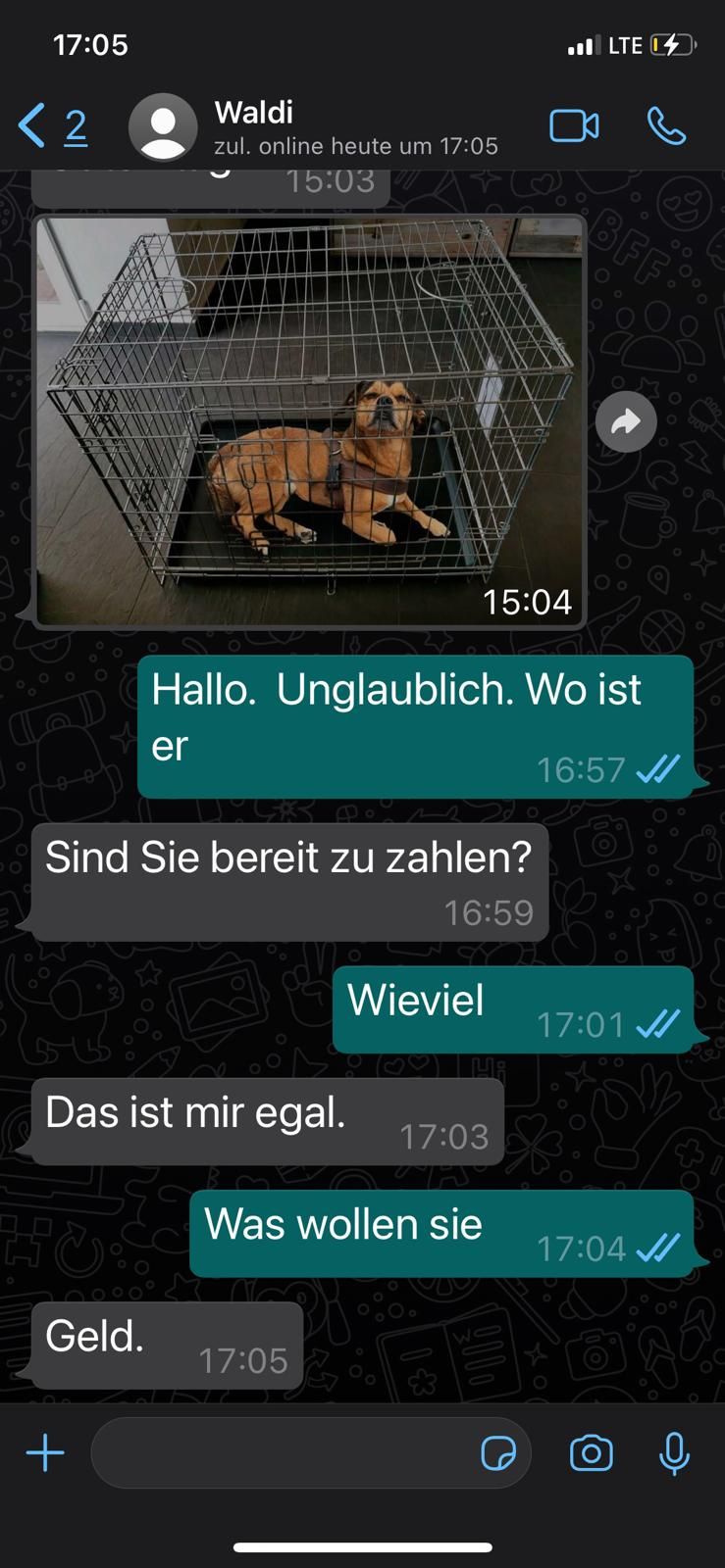 Hunde-Fake 2