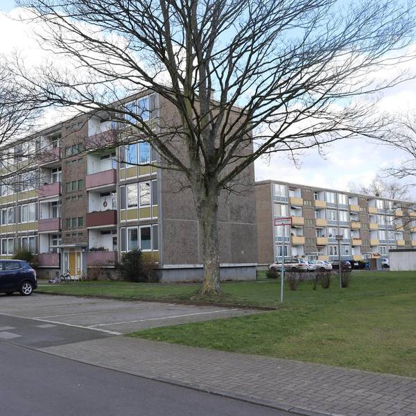 aef-gag-stammheim-2