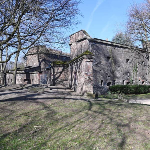 Fort x