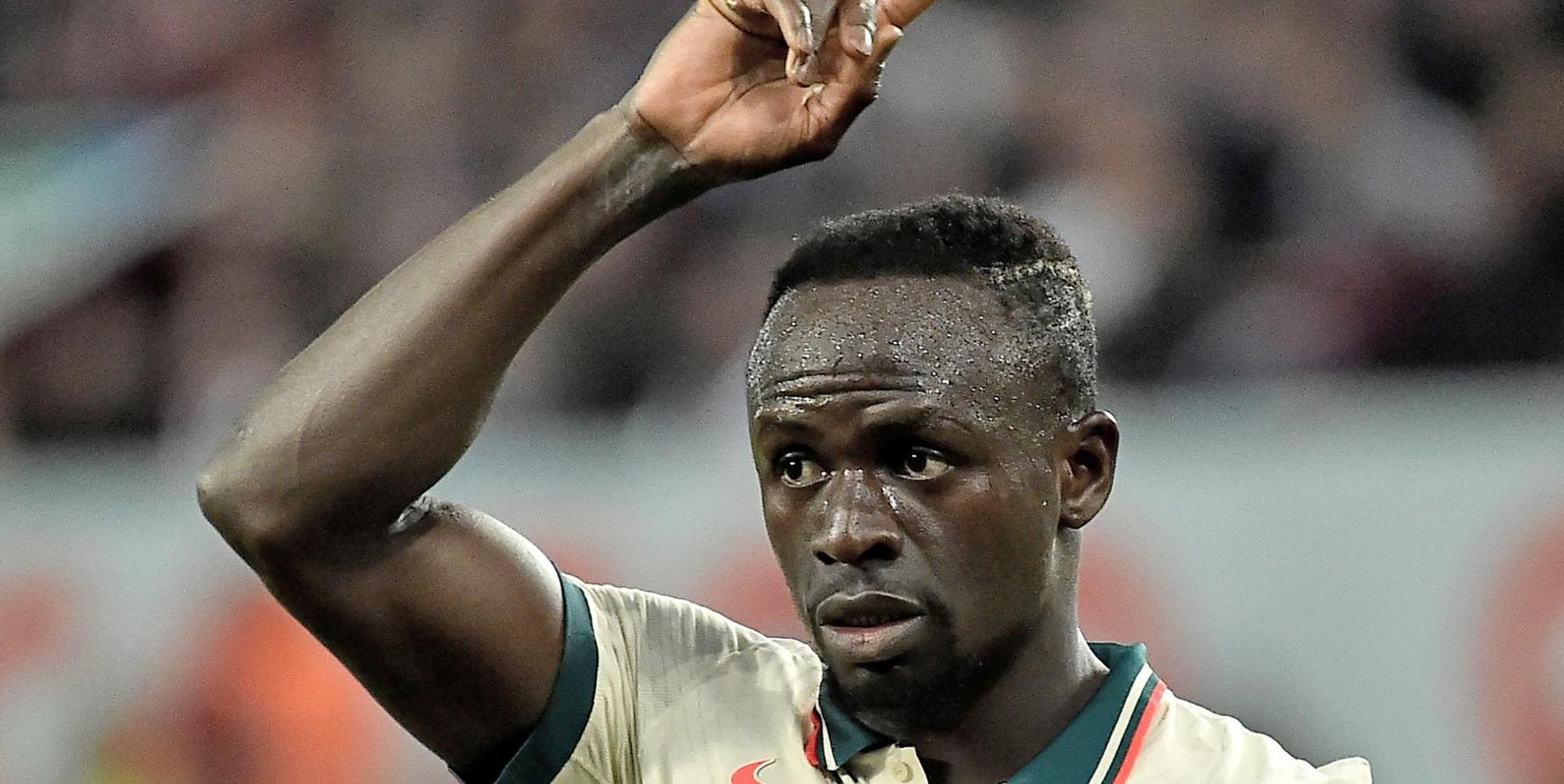 Mane-Kommbild