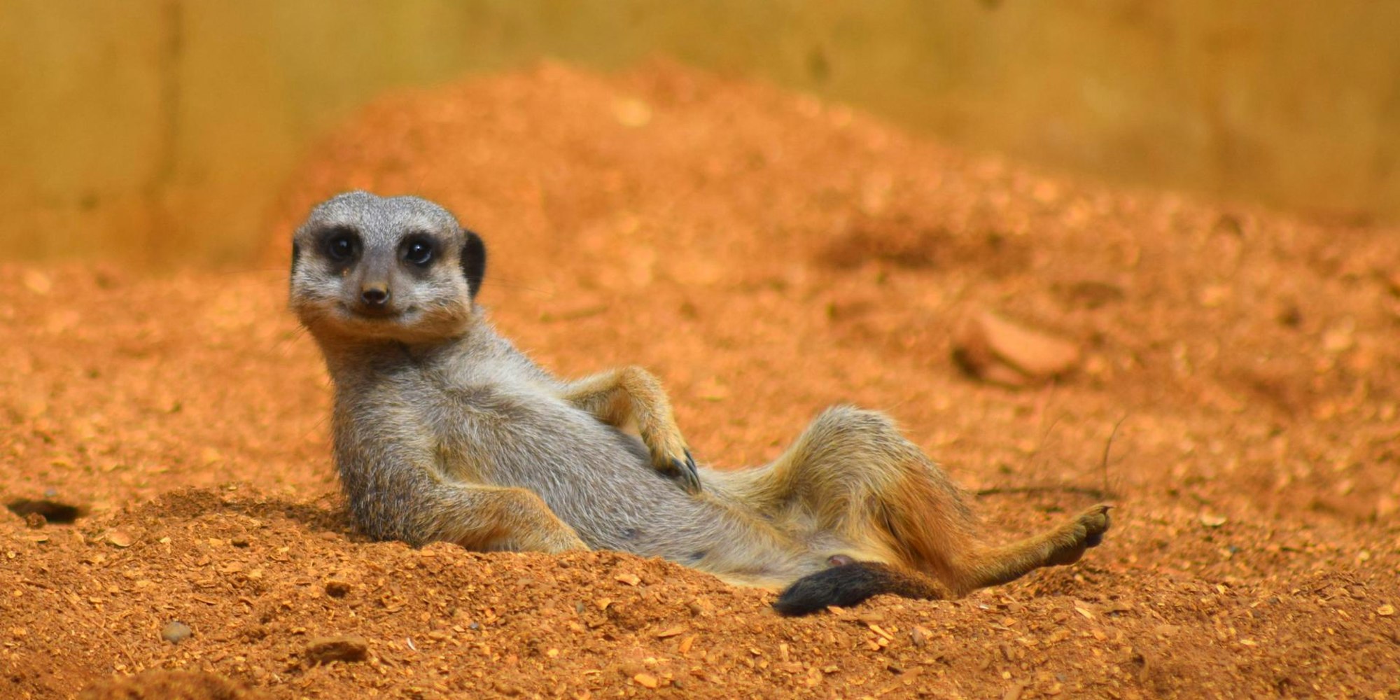 GettyImages-585613602