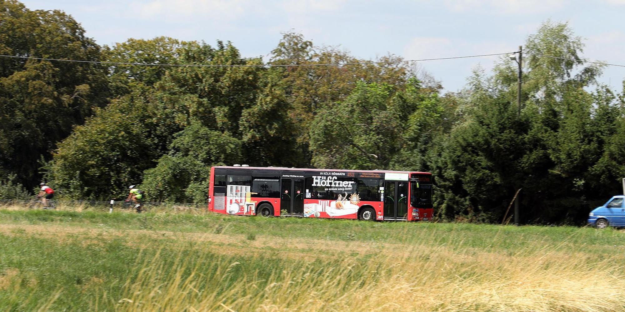 GL_Bus_Breite_2114
