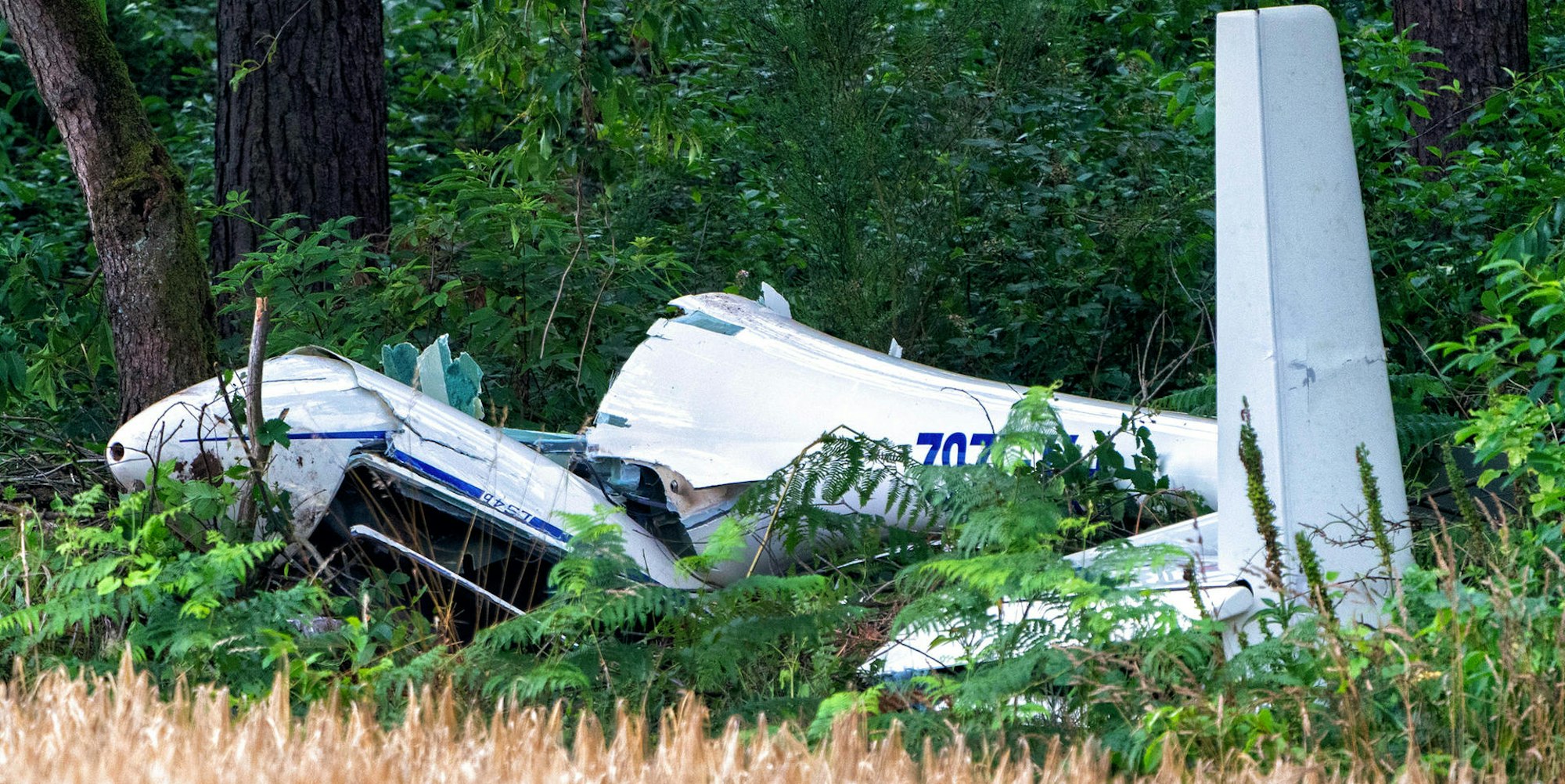 Münsterland Segelflieger