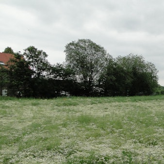 Planung Baptiststraße abgelehnt  (1)