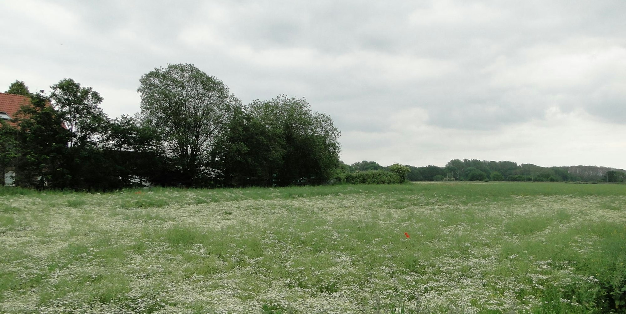 Planung Baptiststraße abgelehnt (1)