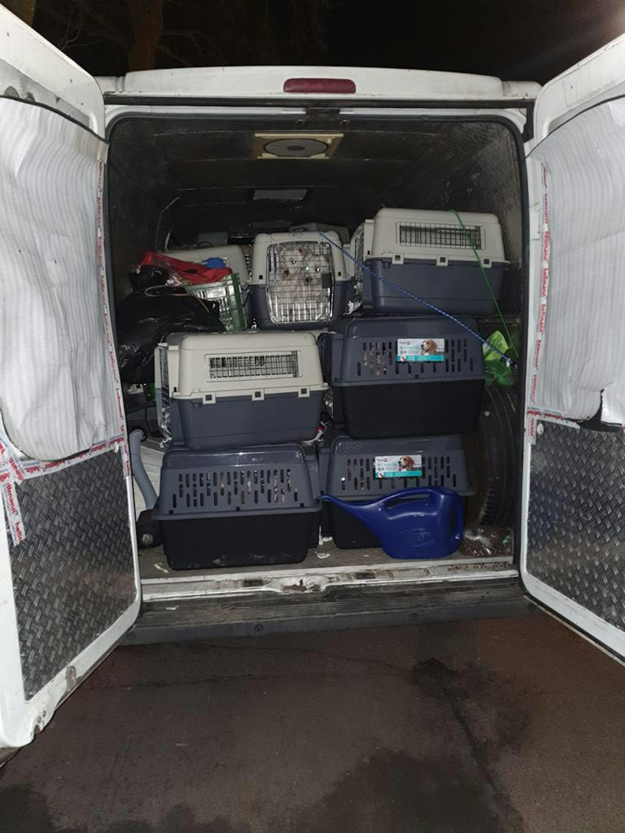 Tiertransport2