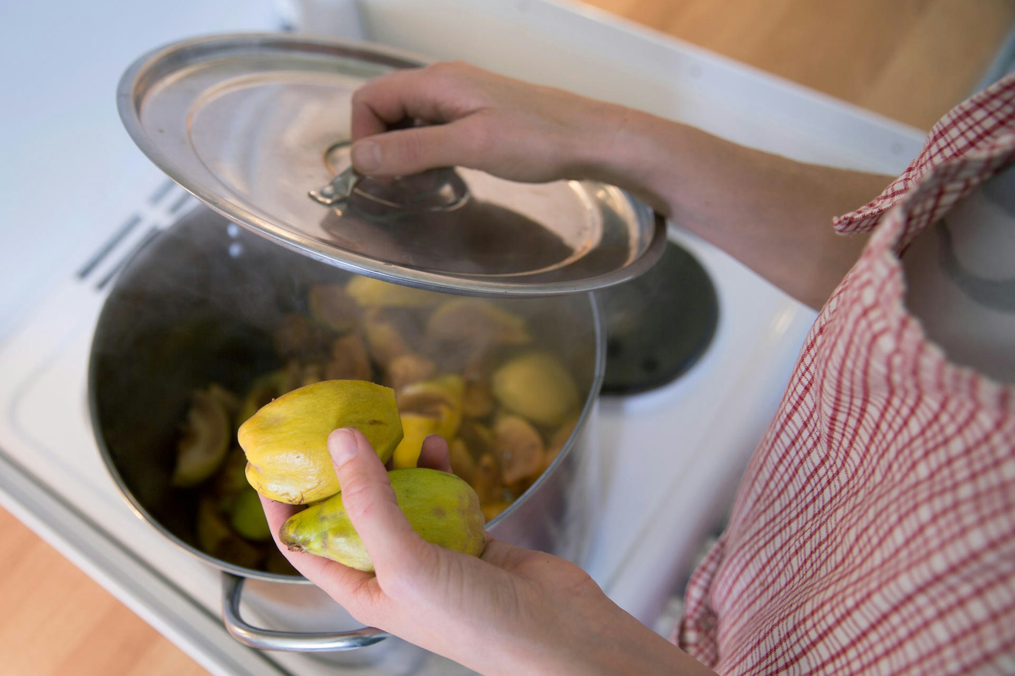 Traumhaftes_Aroma_im_62542110