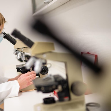 Mikroskop DPA 230822