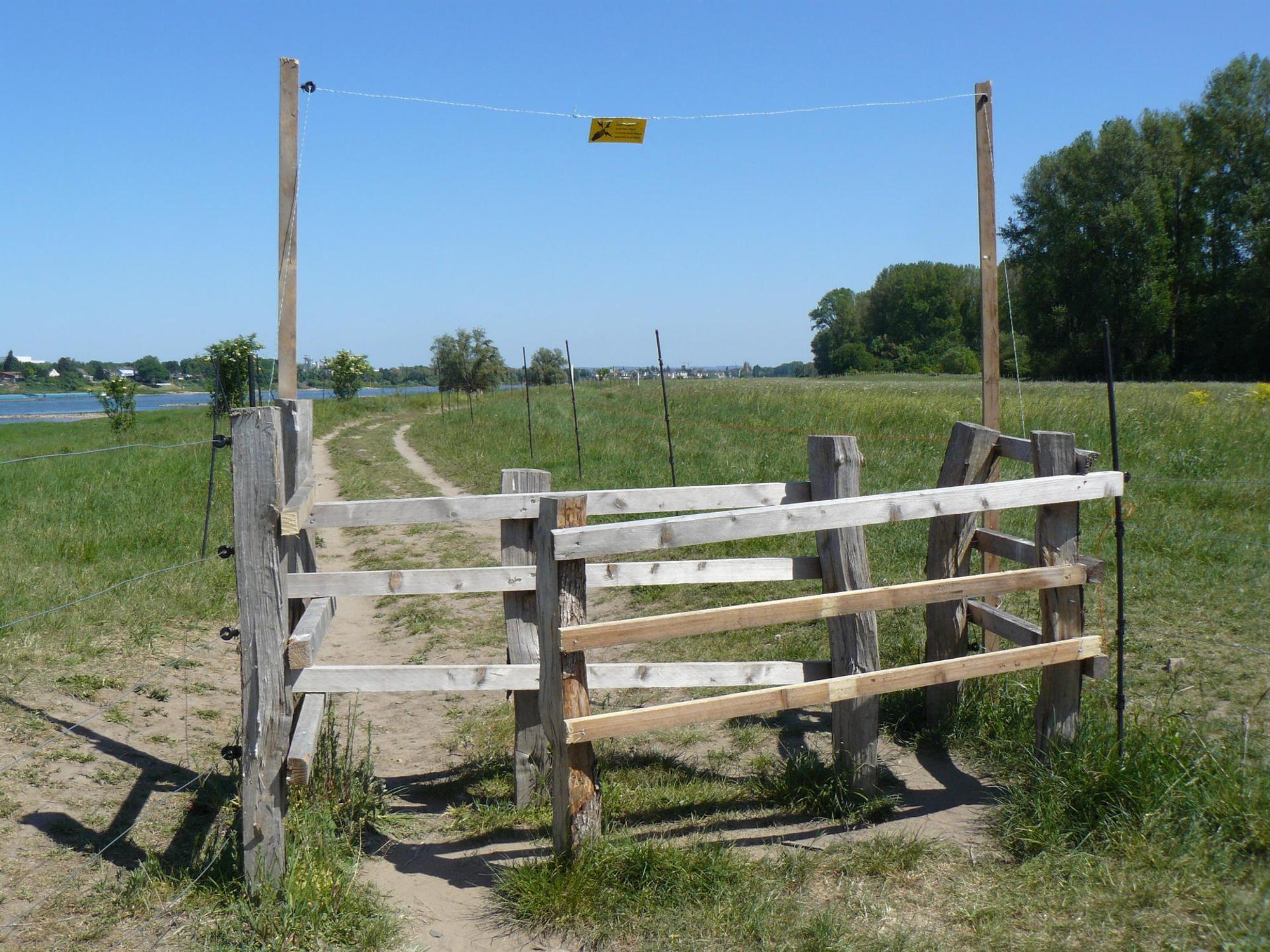 Worringen Glanrinder12