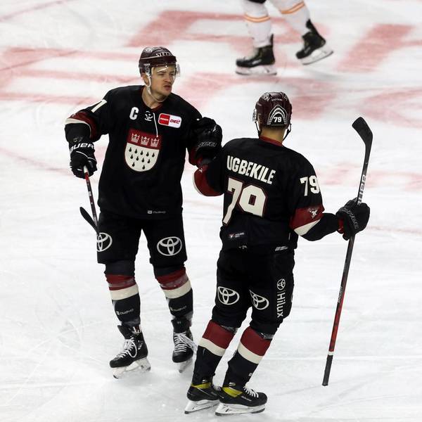haie grizzlys neu