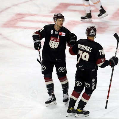 haie grizzlys neu