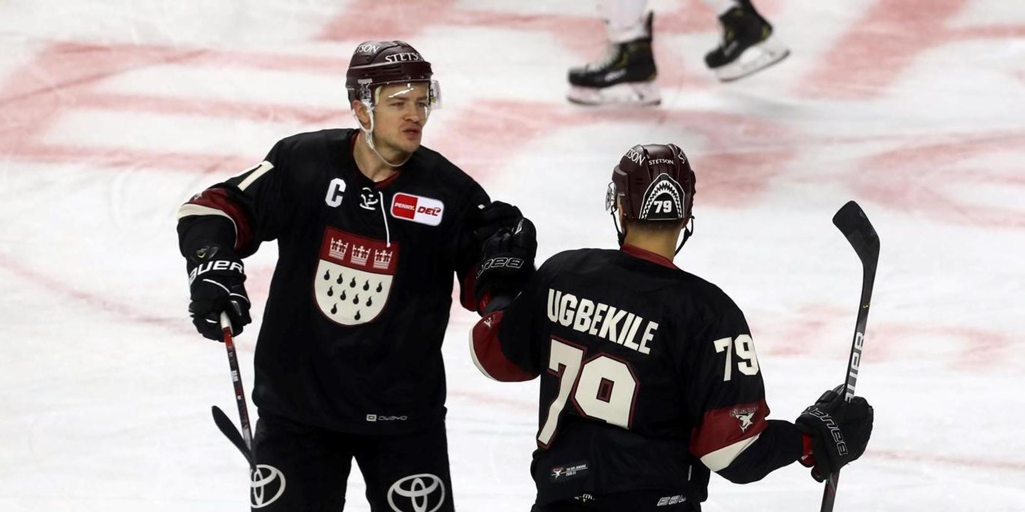 haie grizzlys neu