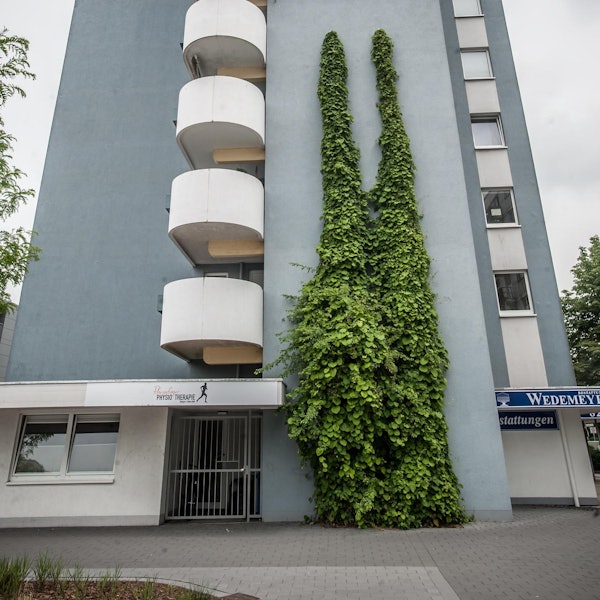 leverkusen-fassadenbegruenung-rheindorf--ALF_3764